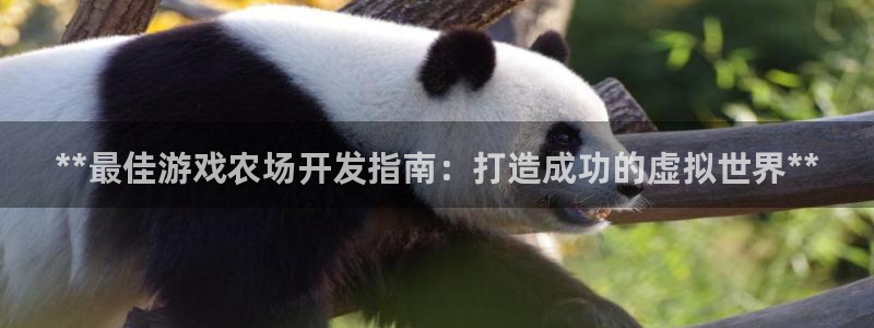 沐鸣娱乐2l怎么样