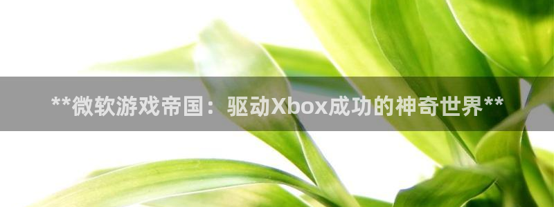沐鸣2平台主管代理