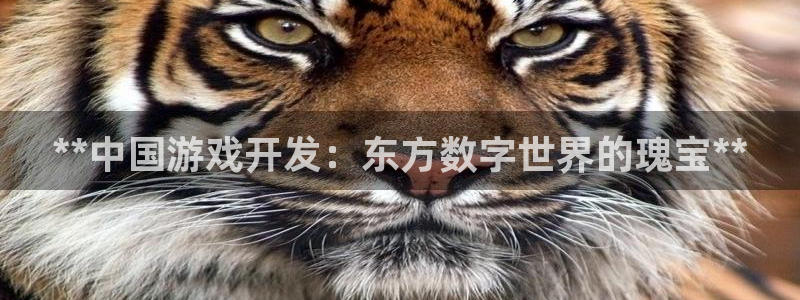 沐鸣2娱乐平台注册