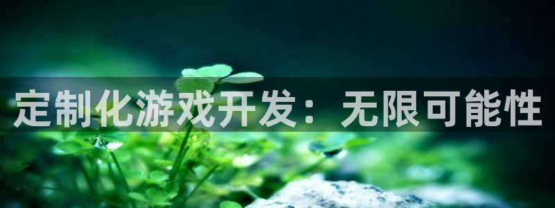 沐鸣2平台代理：定制化游戏开发：无限可能性