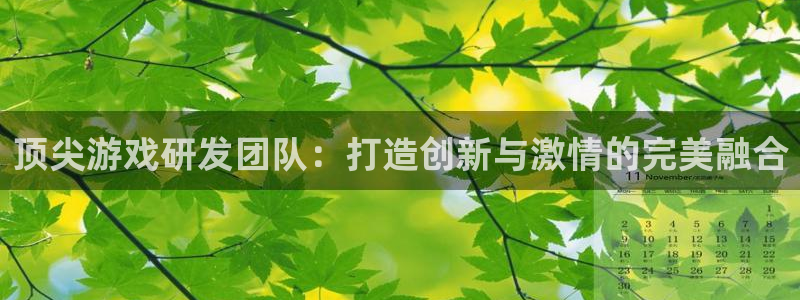 沐鸣2测速登录：顶尖游戏研发团队：打造创新与激情的完美融合