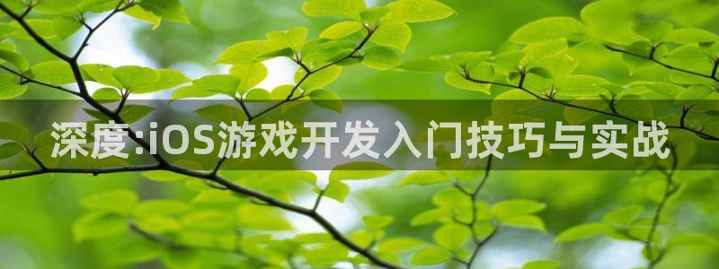 沐鸣2注册流程：深度:iOS游戏开发入门技巧与实战