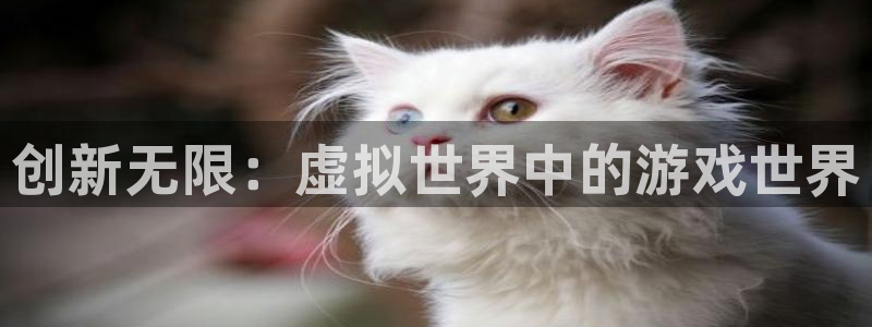 沐鸣娱乐平台2注册：创新无限：虚拟世界中的游戏世界