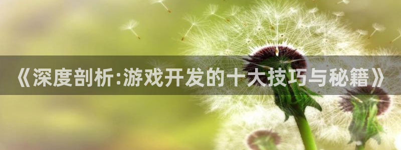 沐鸣娱乐2登入：《深度剖析:游戏开发的十大技巧与秘籍》
