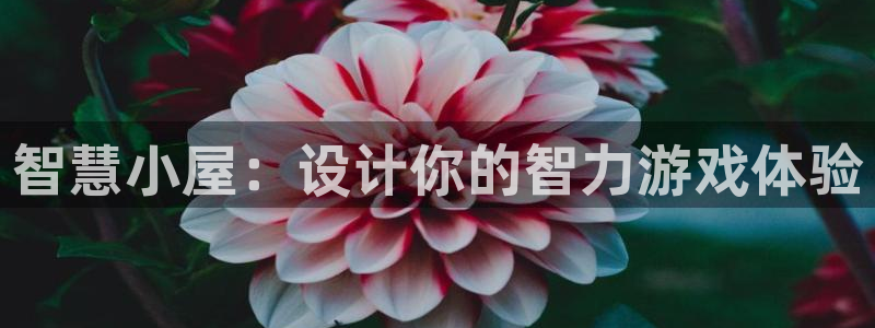 沐鸣2平台代理：智慧小屋：设计你的智力游戏体验