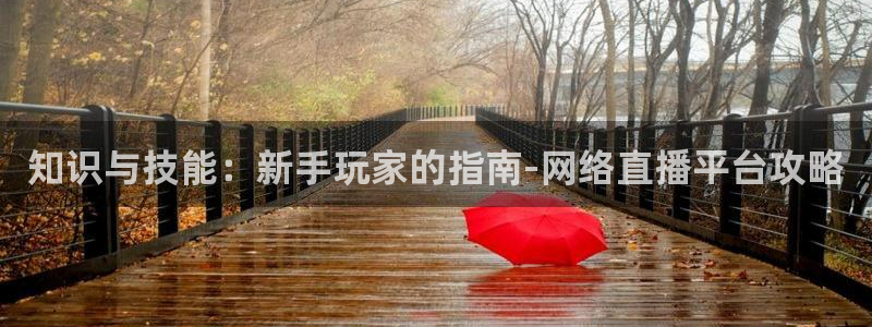沐鸣2测速登陆：知识与技能：新手玩家的指南-网络直播平台攻略