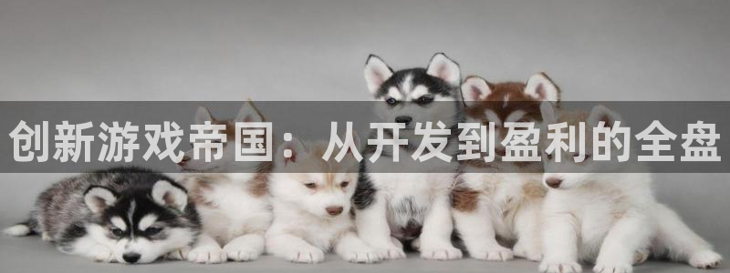沐鸣娱乐2官网：创新游戏帝国：从开发到盈利的全盘
