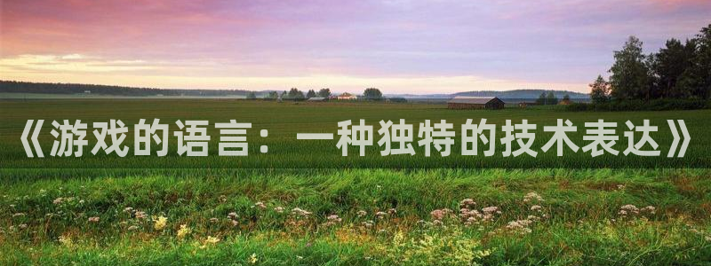 沐鸣2登录地址：《游戏的语言：一种独特的技术表达》